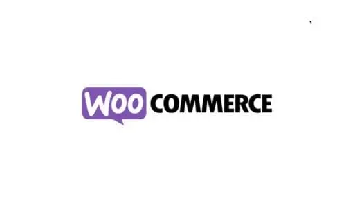 SEO services - Woocommerce SEO service Newcastle
