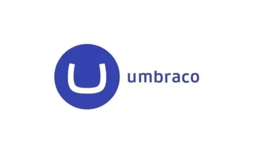 SEO ranking services for Umbraco